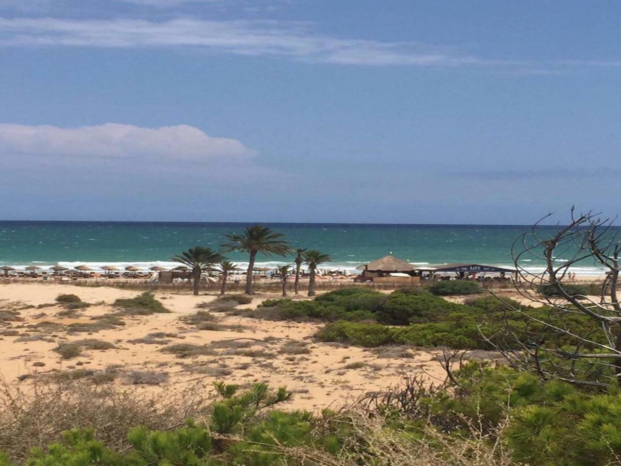 Arenales Del Sol Apartment Luaran gambar